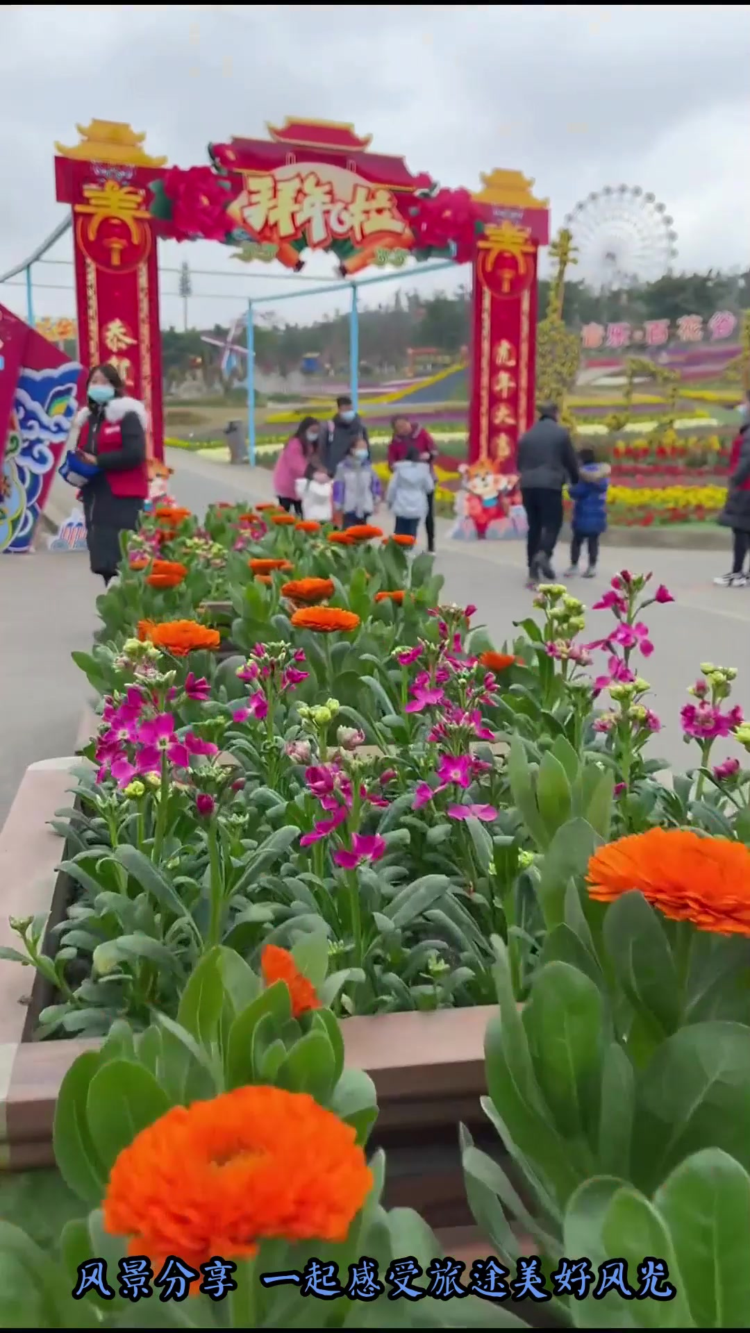 春节旅游推荐去哪里玩?(春节旅游推荐去哪里玩英语作文)