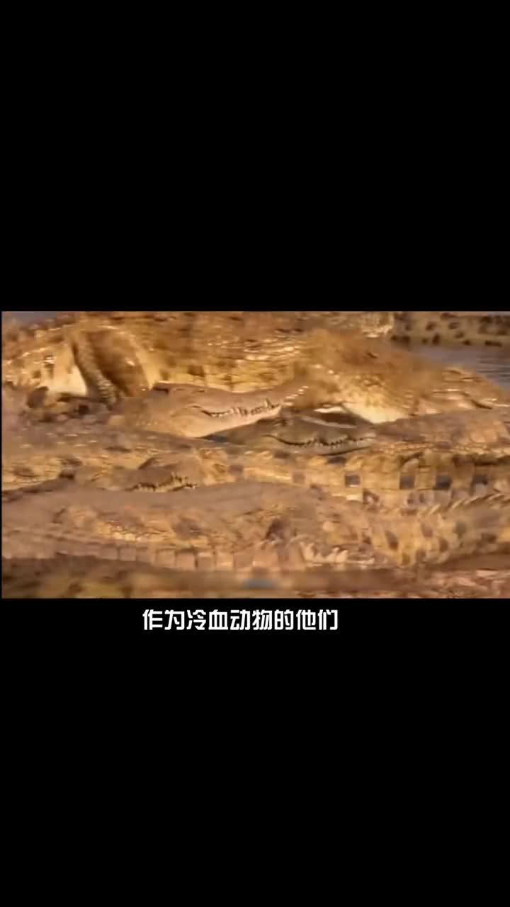 残酷杀戮的介绍和残酷杀戮的拼音剧情分析