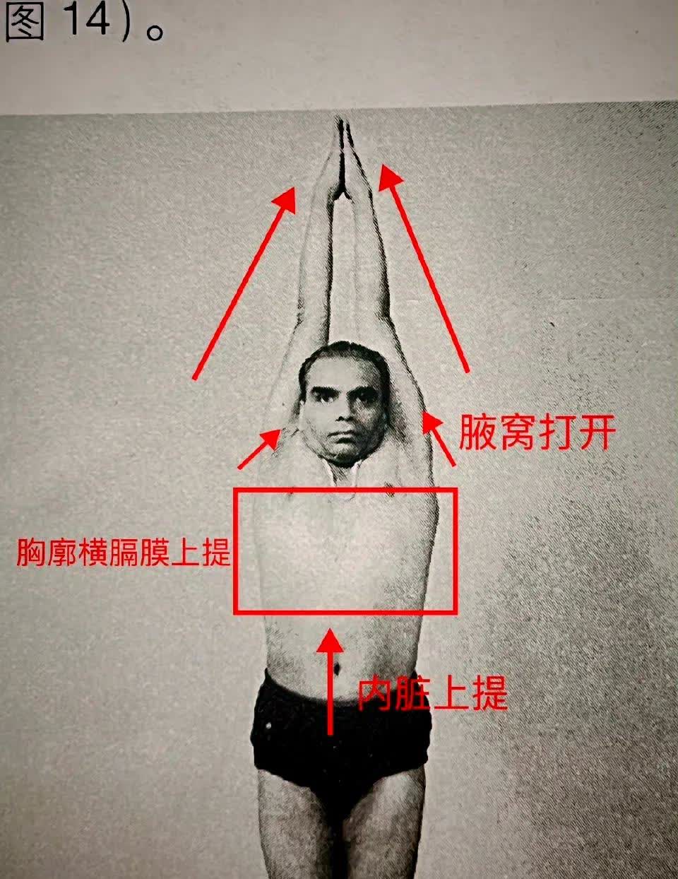 手臂上举比你想的要"强大" 内脏上提改善呼