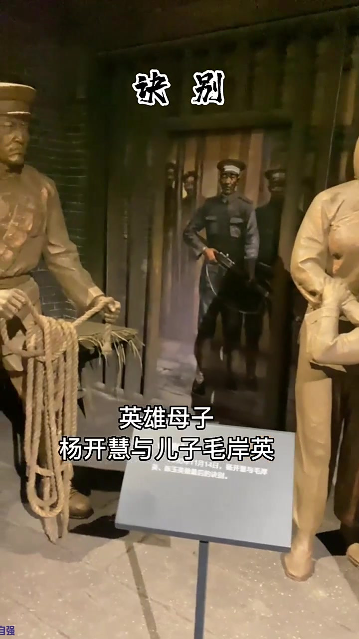 1930年11月14日,杨开慧与儿子最后的决别!随后就义于长