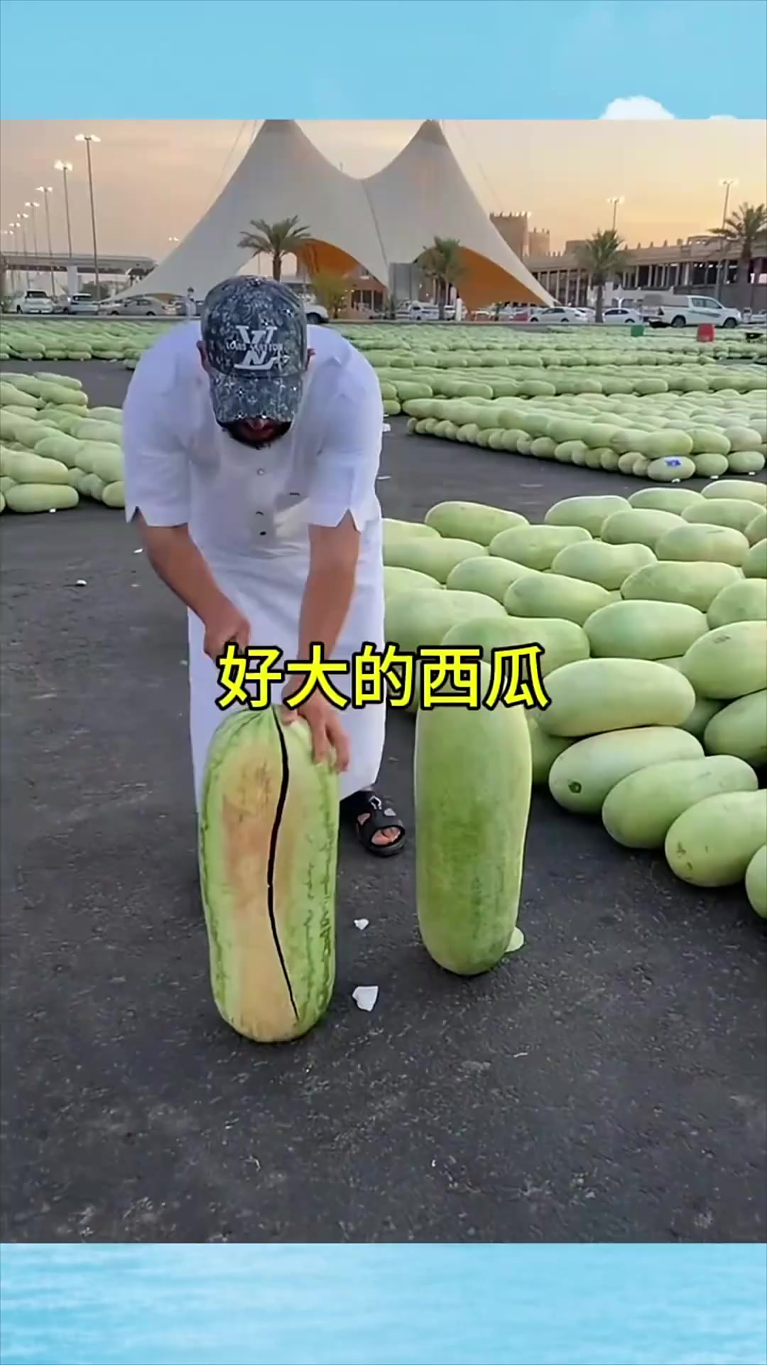 超级长的西瓜,第一次见