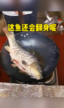 这鱼还会翻身了呀