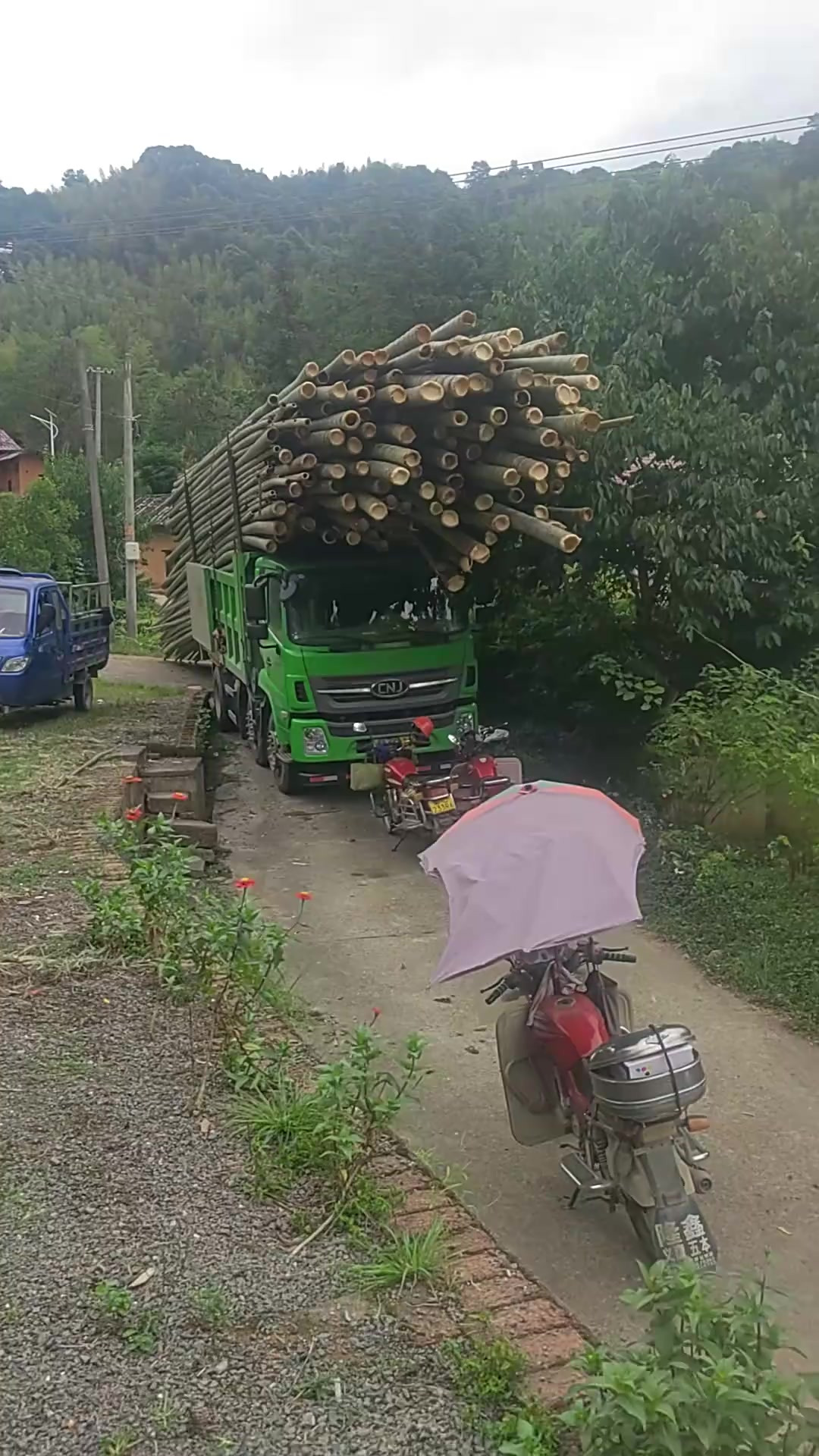 毛竹装车准备运输,满满的一车竹子,得有20吨了吧