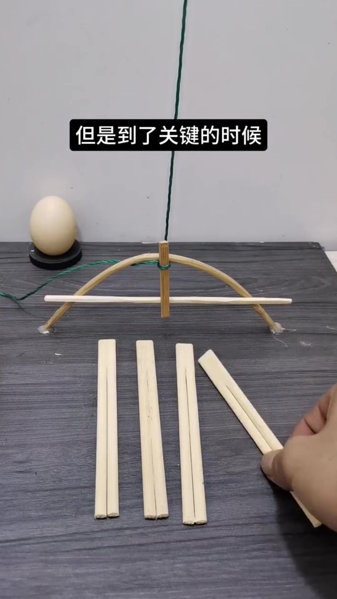古代钓鱼机关术,动物世界精彩的瞬间