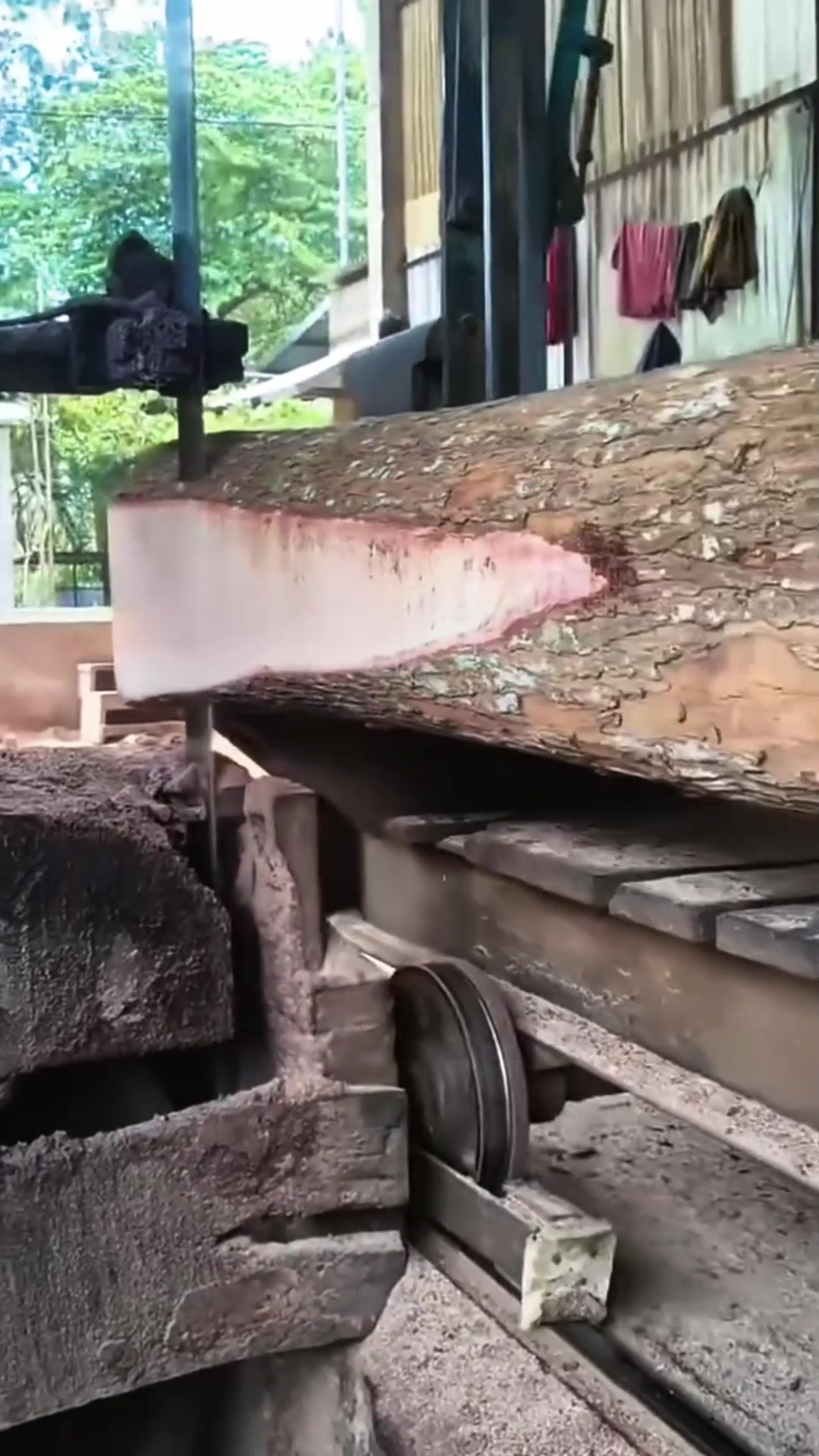 为何这种大型的木材切割机不来回都切割两次?非常令人不解!