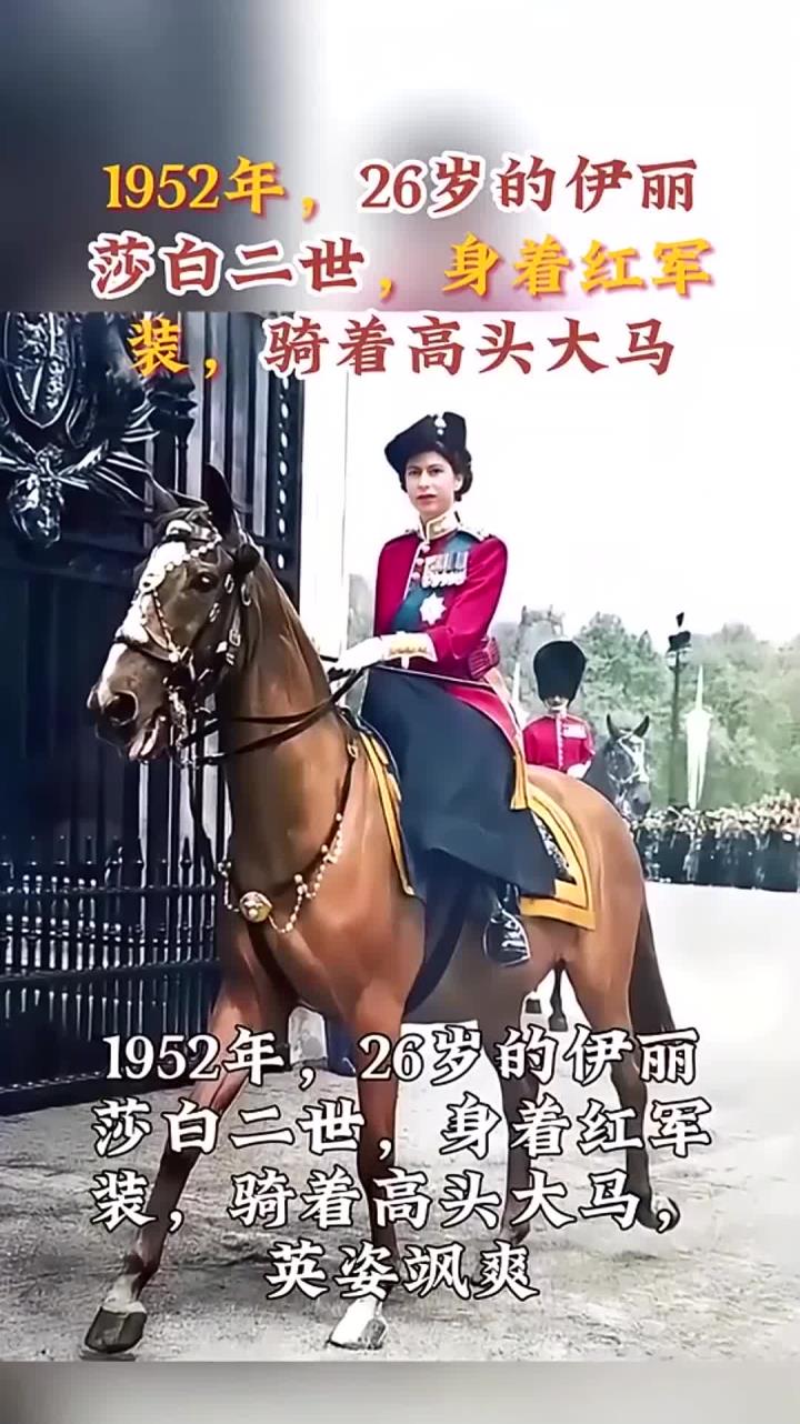 骑着高头大马图片