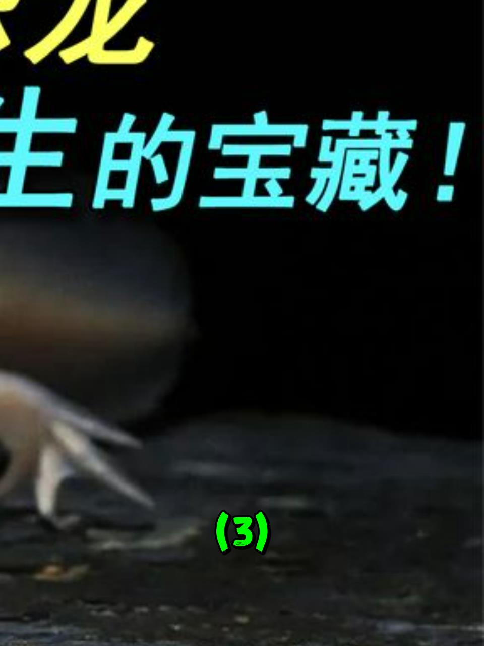六角恐龙:再生能力碾压哺乳动物,生命奇迹的呆萌宝宝