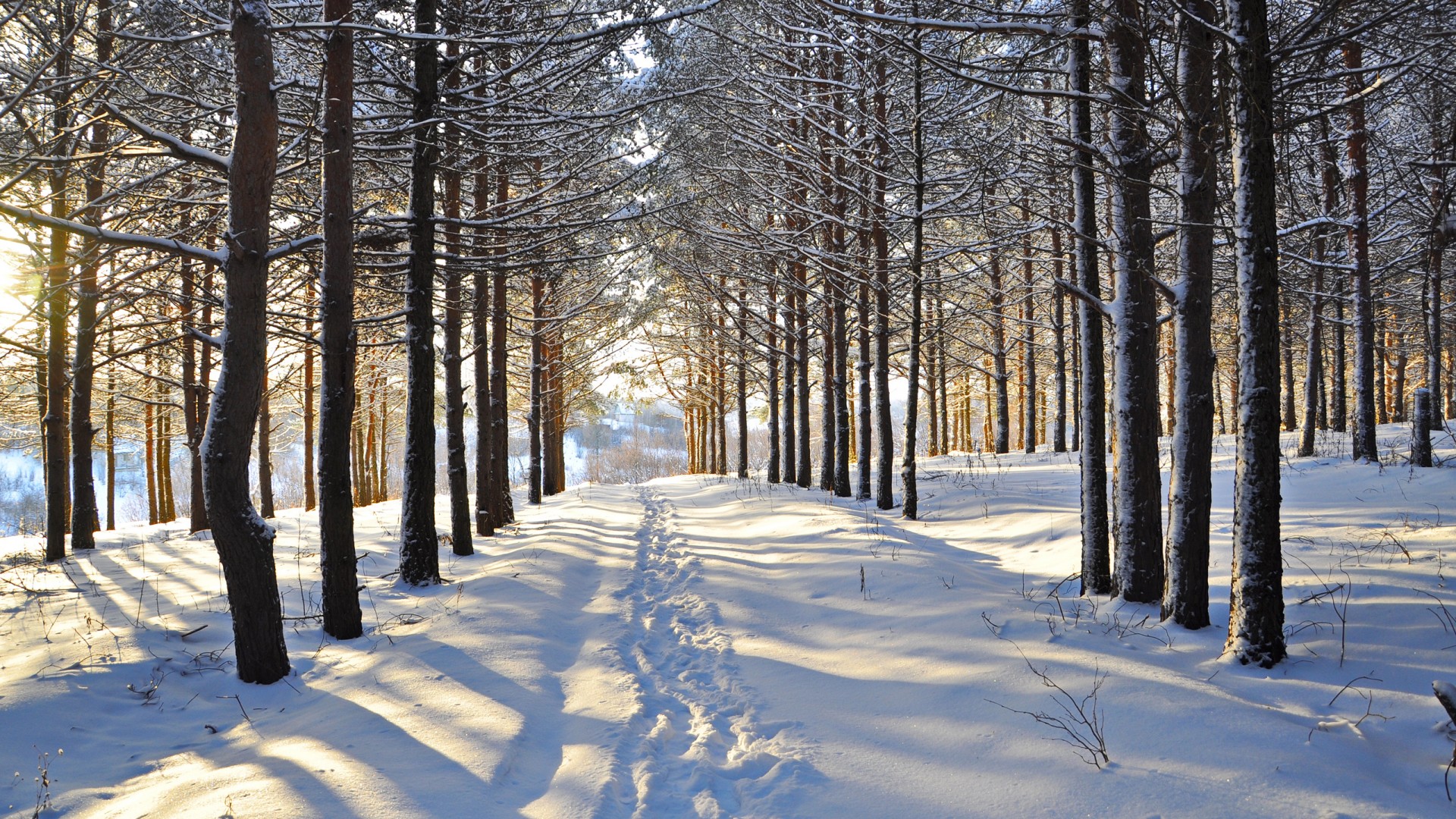 雪地地图的原型图片