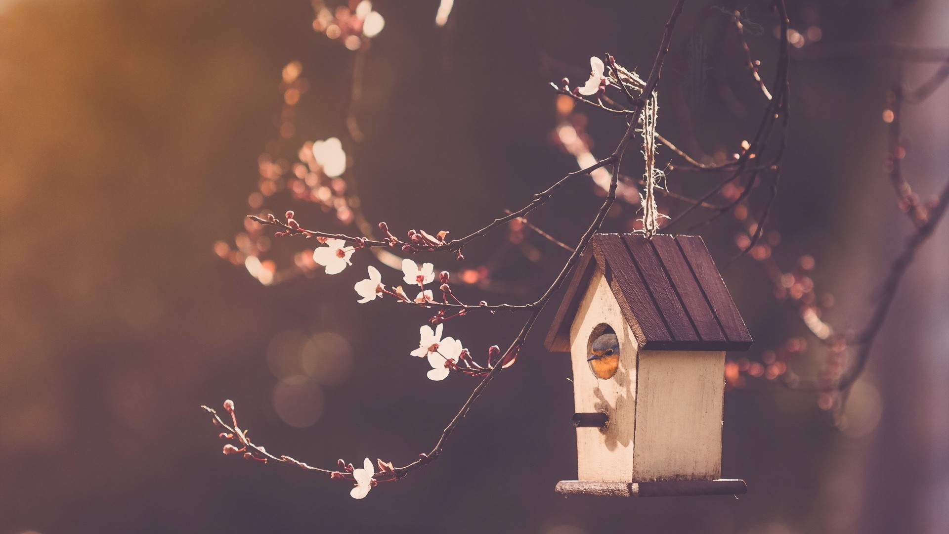 女人拉黑又拉回来心理:她到底在想什么?