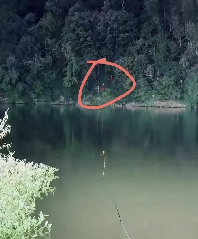我朋友昨晚夜间去钓鱼,有两个东西突然冒出来,吓得他魂都飞了,鱼竿都