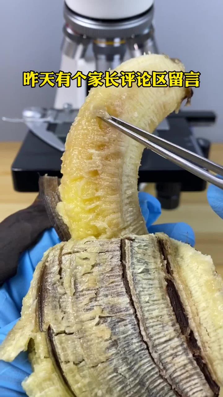 变质香蕉放大600倍