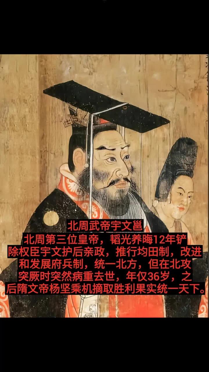 历史上宇文邕传位给了谁