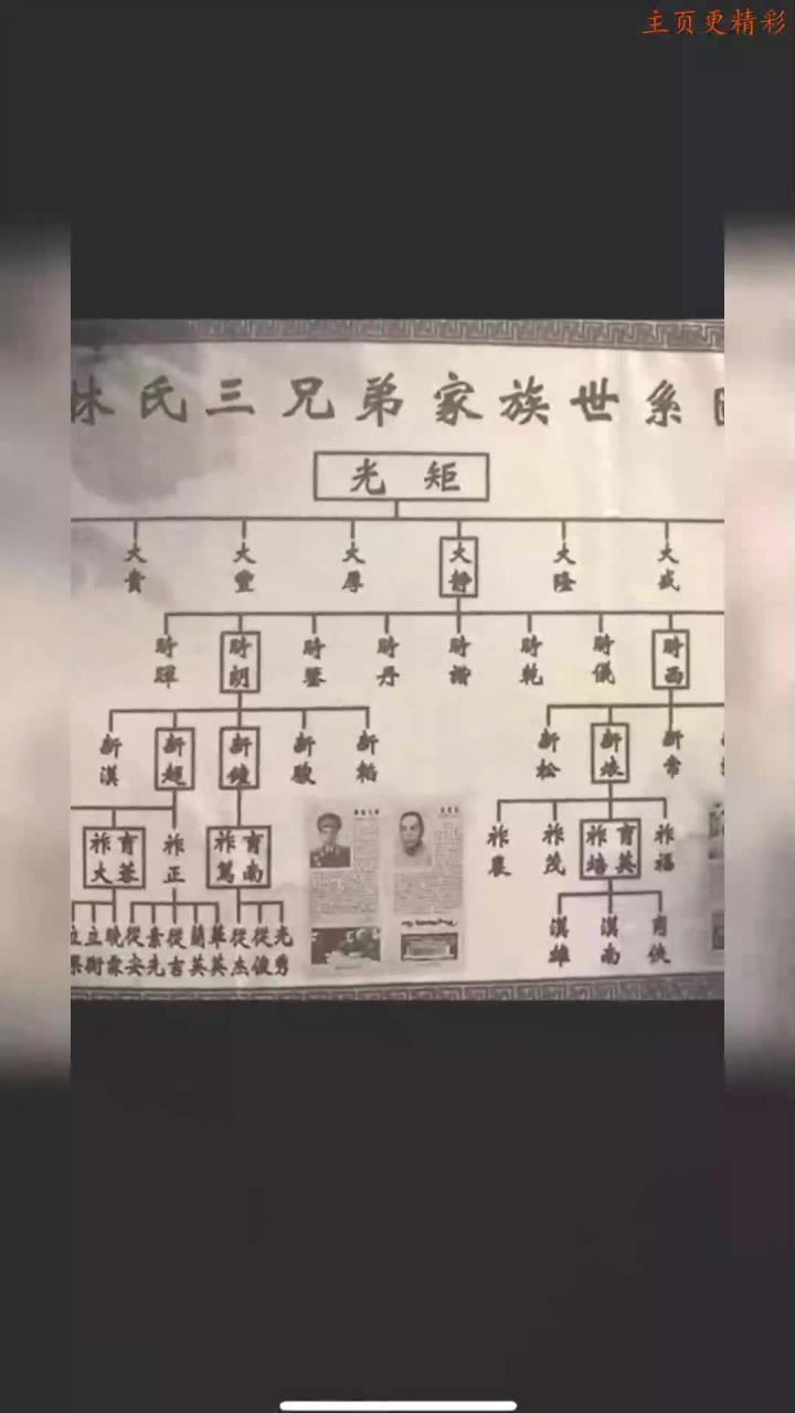 林氏三兄弟家族谱系视频