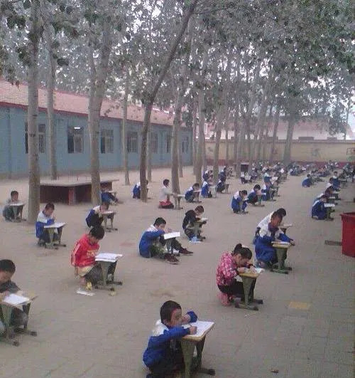 小学一周五天课,周末奥数班 兴趣班  初中一周