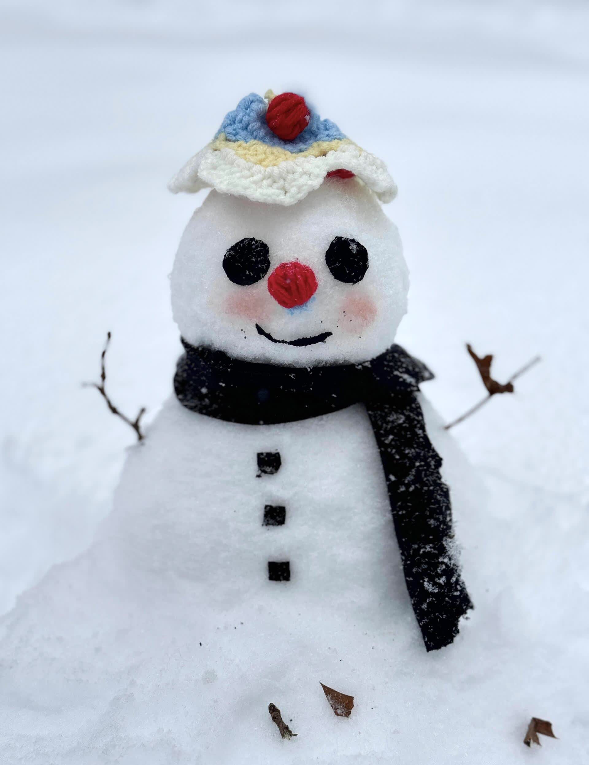 呜呜呜,狗狗都看到雪了,我却还没看到