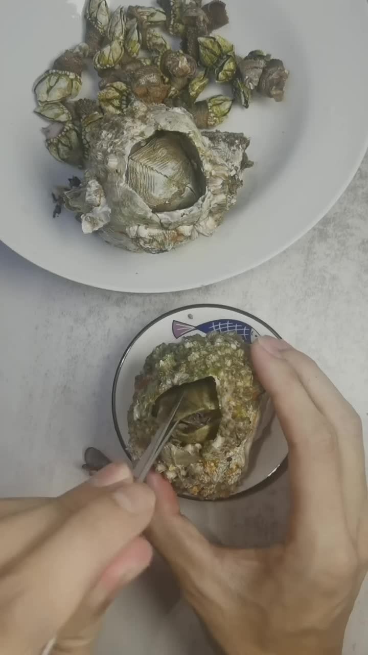 这个季节的藤壶,确实不错,藤壶又叫,雀嘴,火山口