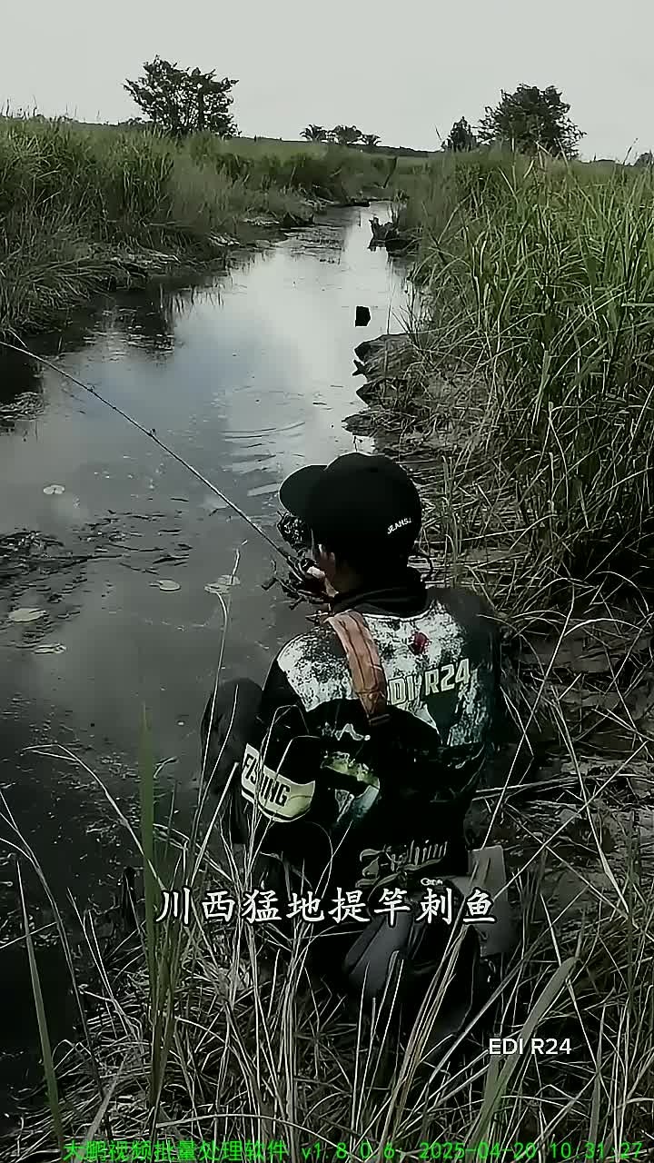 农村小水沟野钓乐趣无穷!