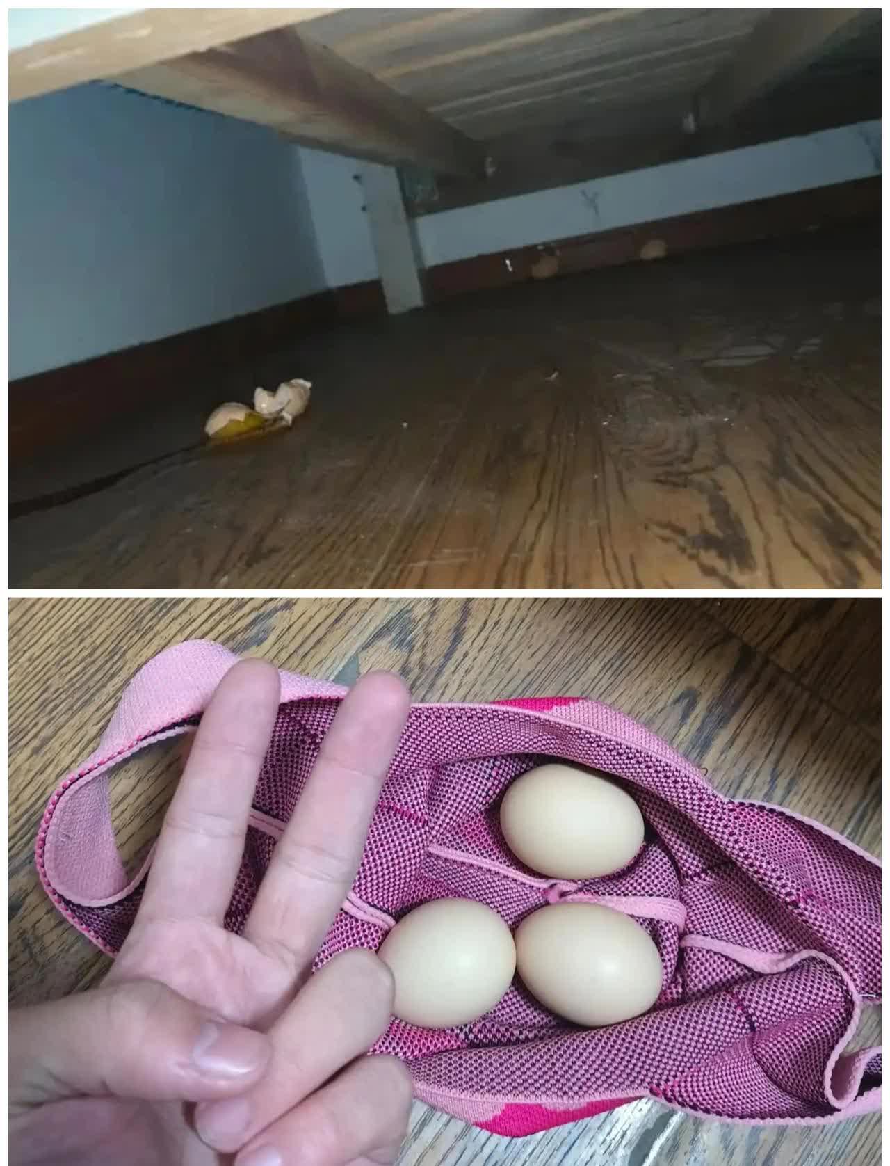 看到一位网友,他的解决方式就是买了几个鸡蛋,直接把鸡蛋砸到床下面