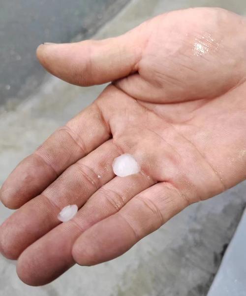 沪牌今年1月份的投放量12483张,竞拍人数为59991人