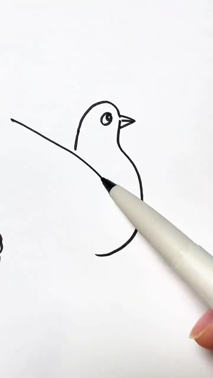 鸽子这样画简单易学