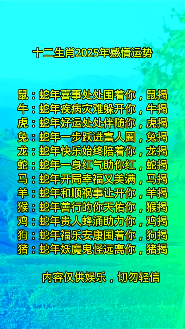 十二生肖运势1980(十二生肖运势天天看)