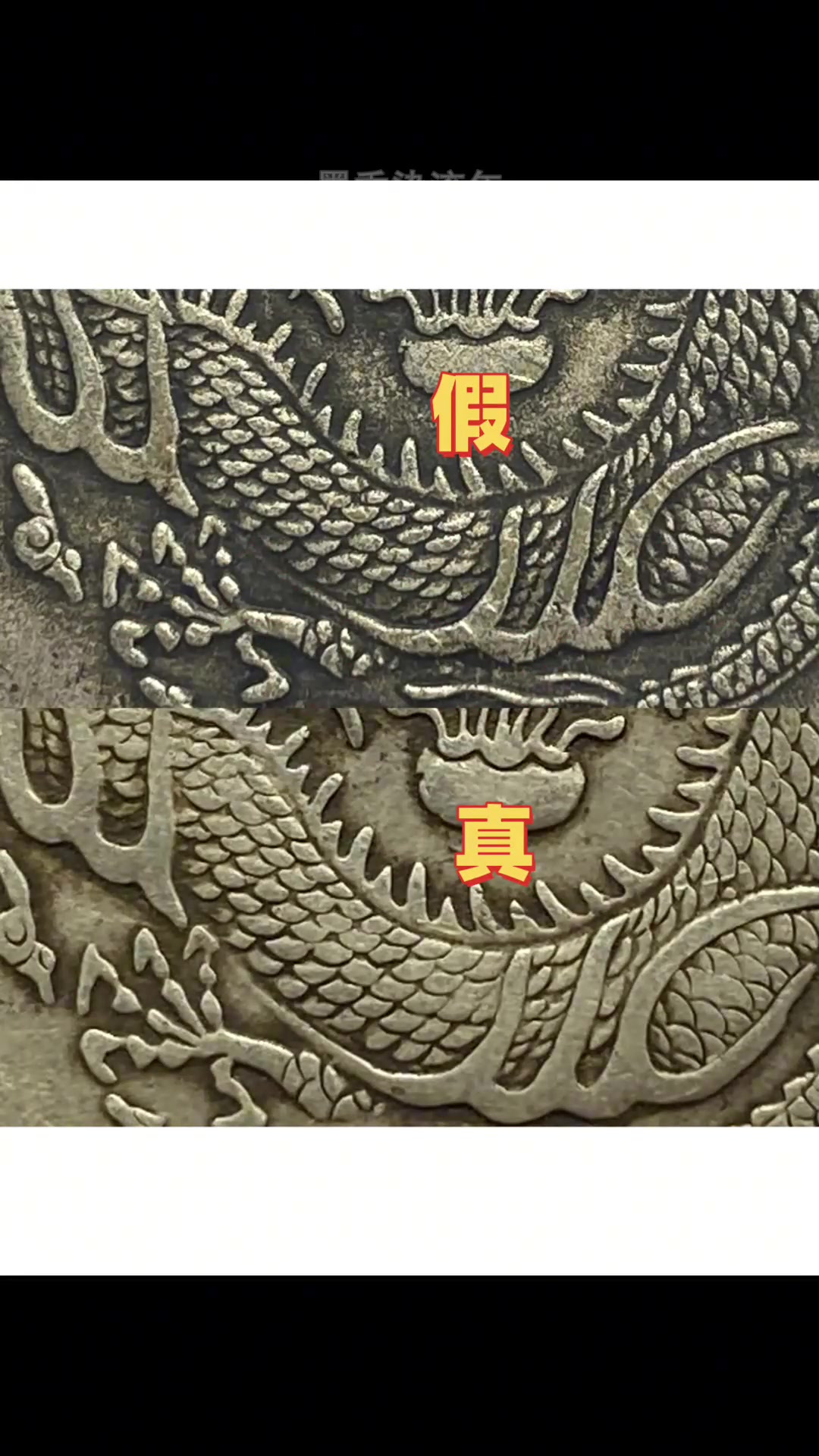 龙鳞完整版免费看