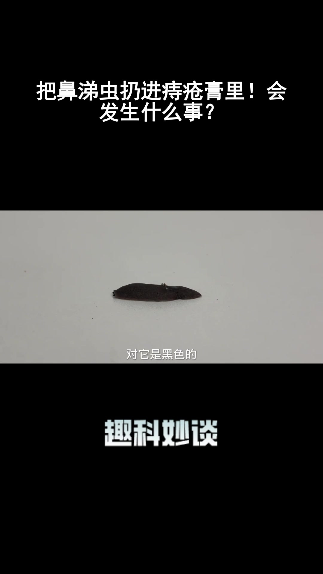 把鼻涕虫扔进痔疮膏里!会发生什么事?