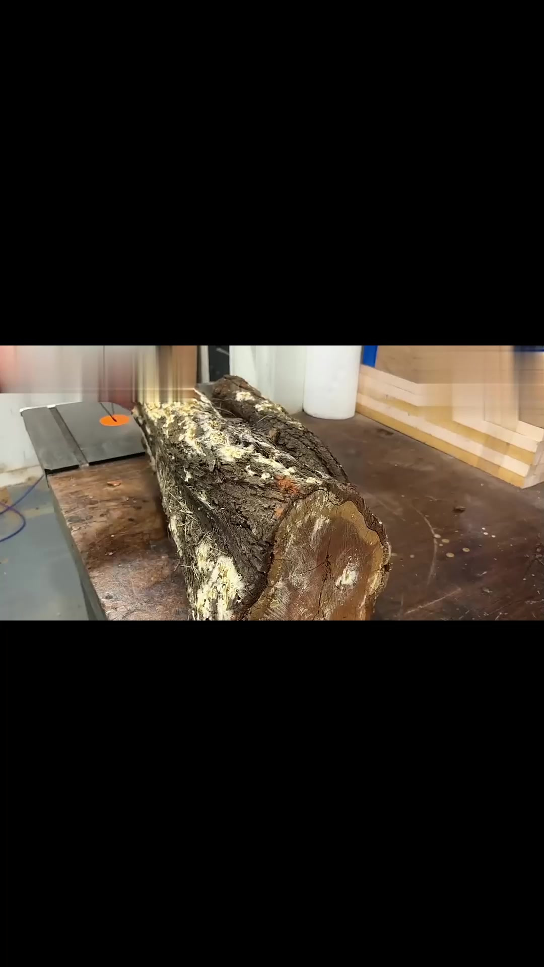 烂木头卖出168万，烂木头卖出168万块钱