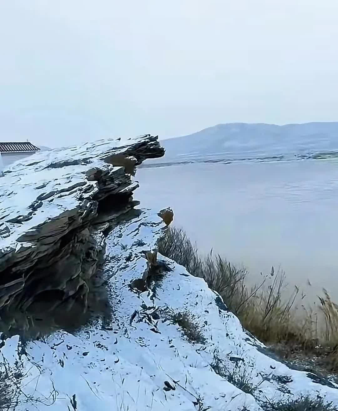 惠农区突然来了一场大雪毫无征兆一大早开门才发现大地白茫茫一片