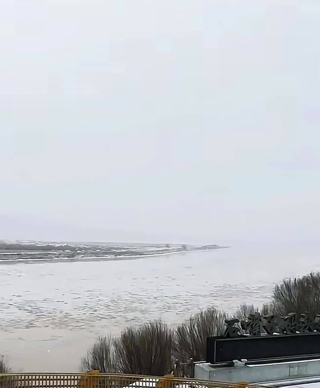 惠农区突然来了一场大雪毫无征兆一大早开门才发现大地白茫茫一片