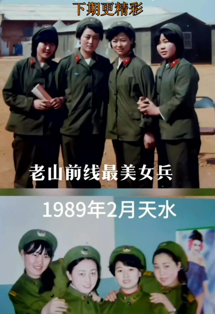 老山女兵再聚首照片图片