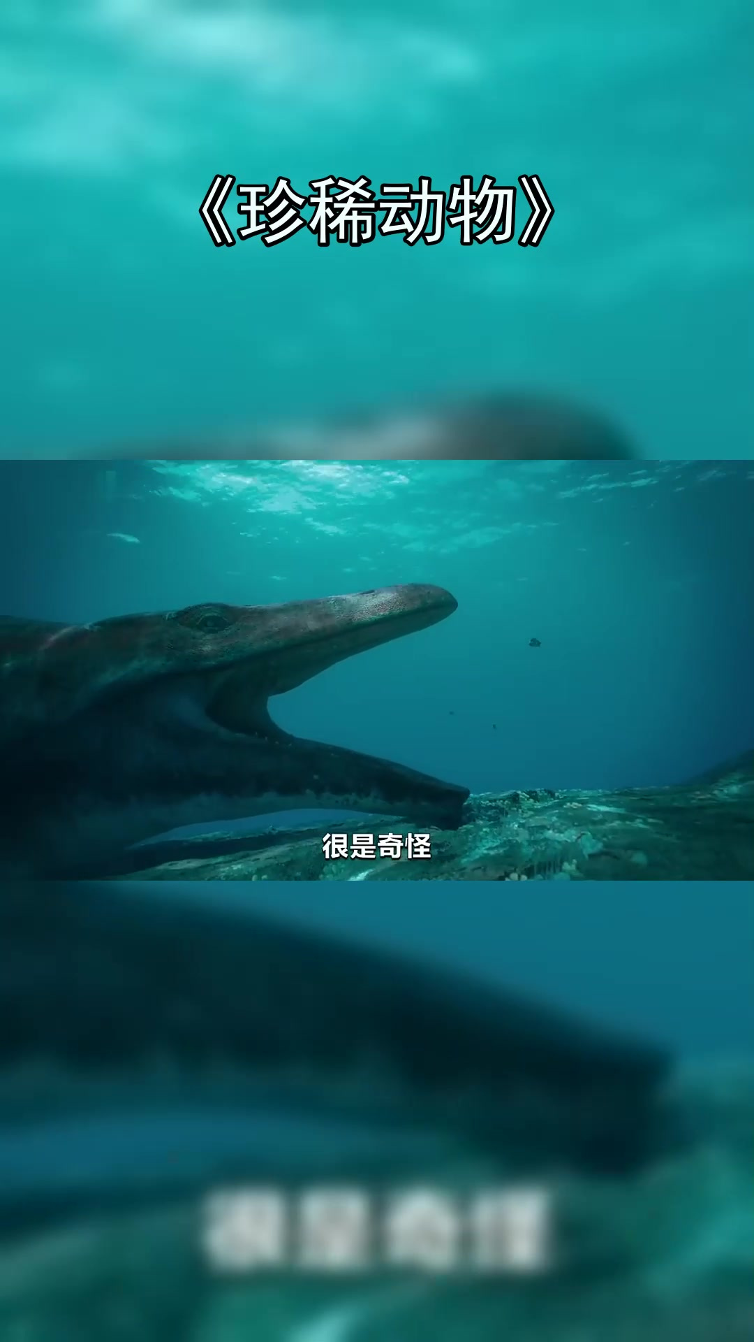 沧龙天敌