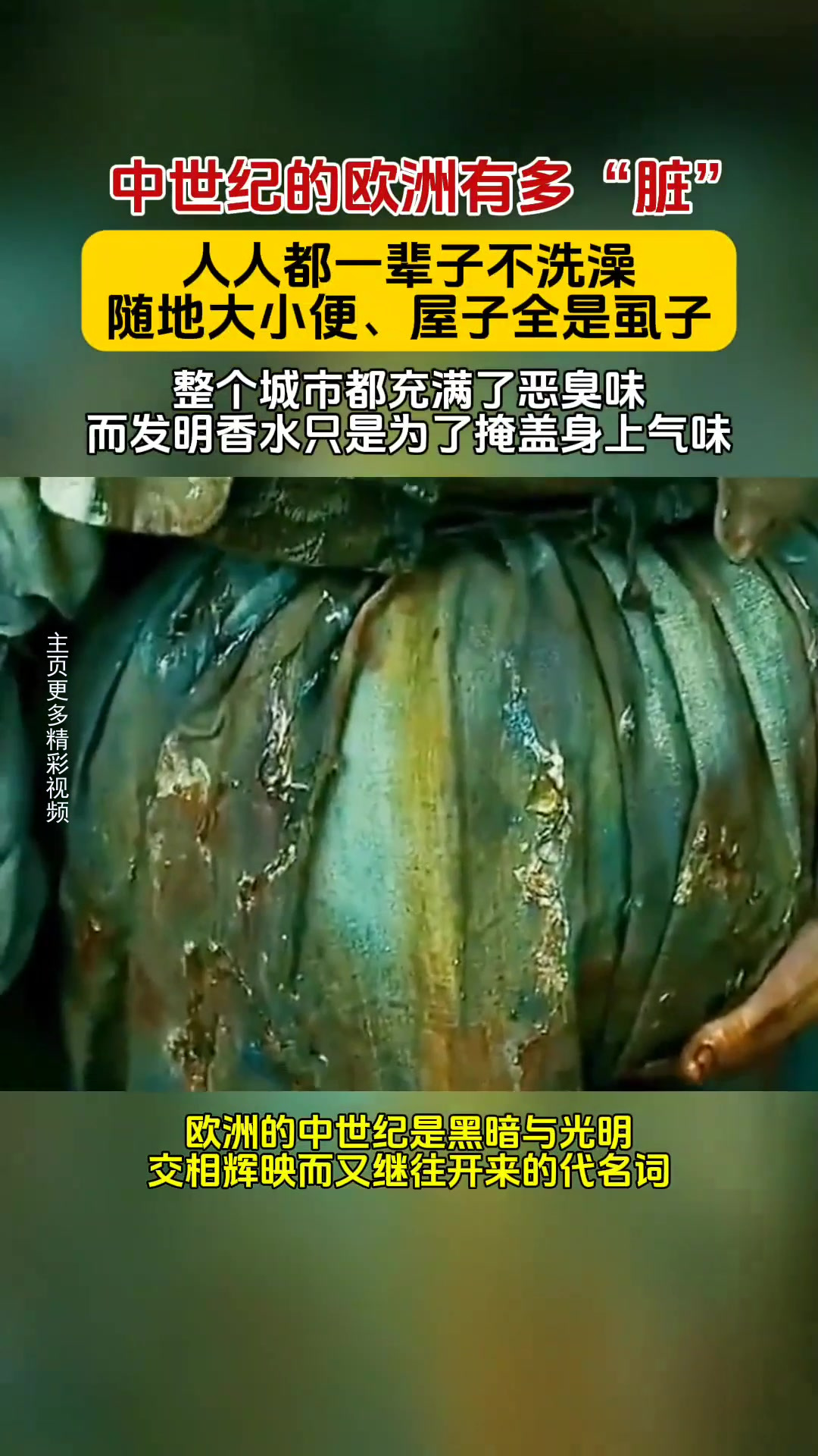 中世纪的欧洲有多脏,一辈子不洗澡随地大小便,城市都充满恶臭味