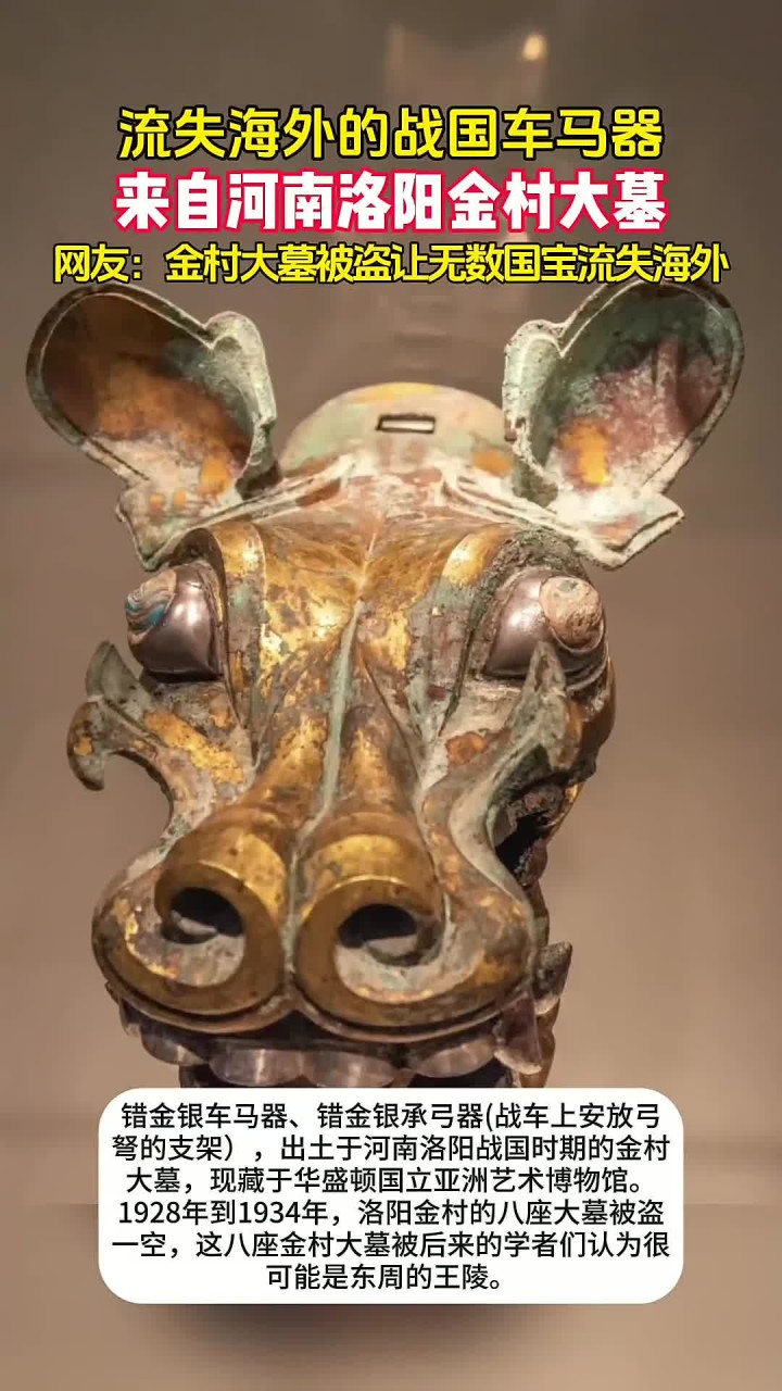 精美无比!河南洛阳金村大墓被盗文物,流失海外的战国车马器