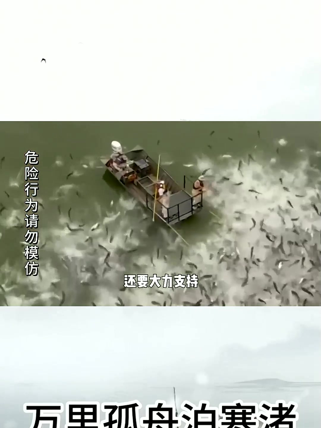 为什么不让电鱼了