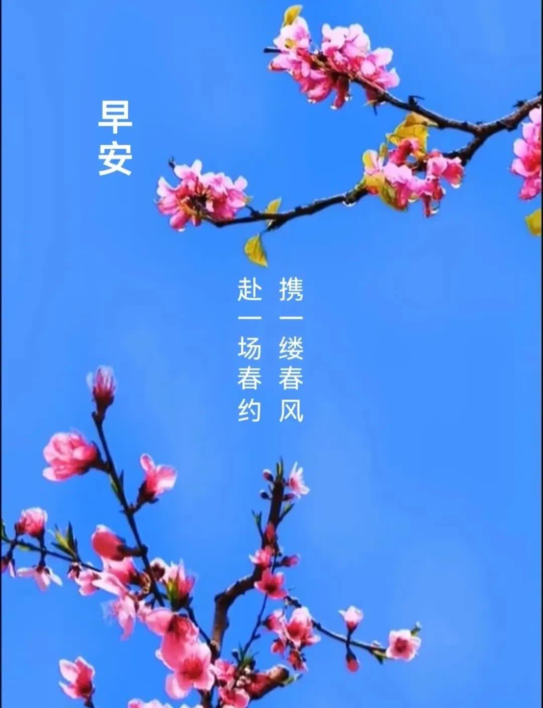 工作与生活顺遂如意好运连连心怀期望开启属于自己的精彩 春天早安