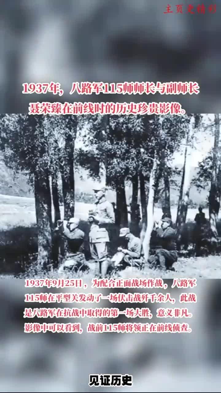重生抗战115师