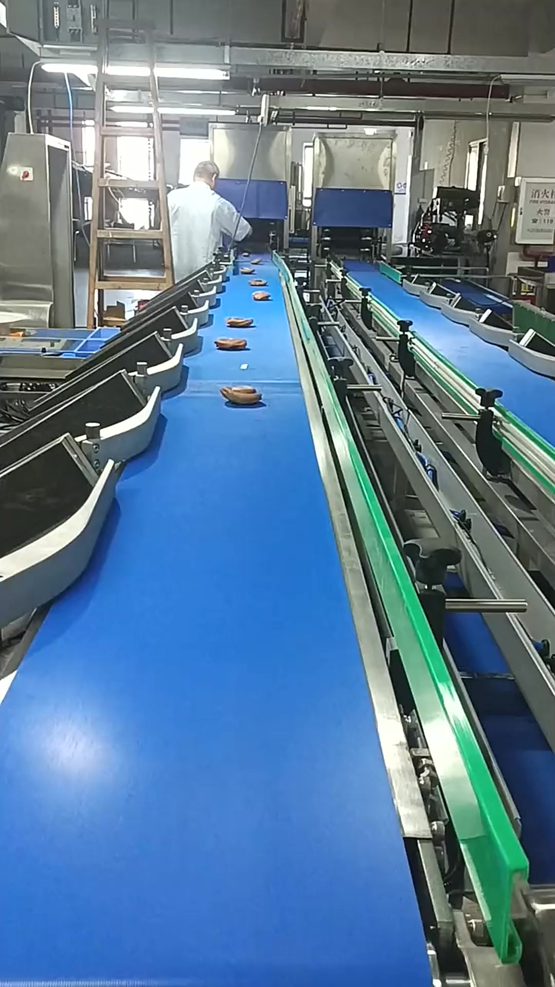 智能制造人工智能智能分拣分选机,水产品数字化工厂智能分拣生产