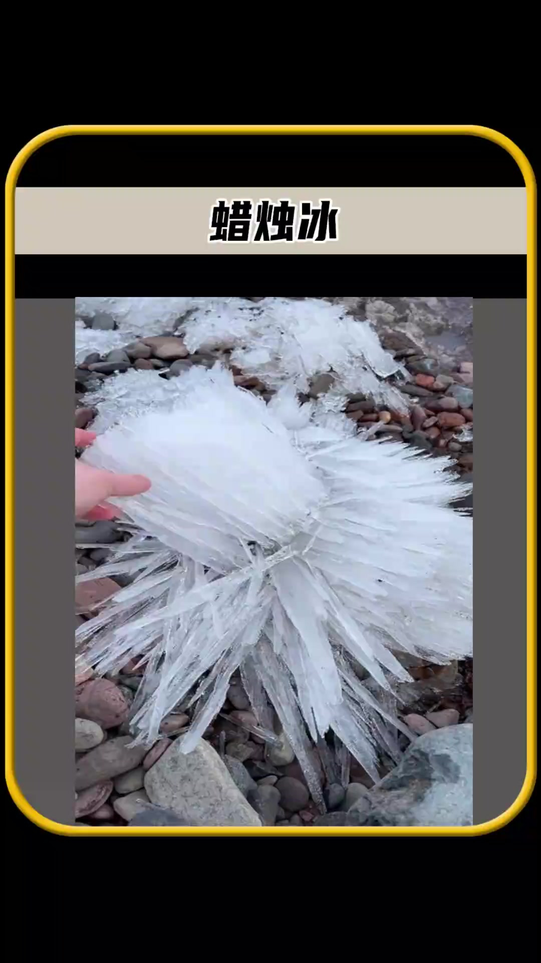 你有没有见过这种冰,和平时见到的冰判若两样,呈现出长条形状