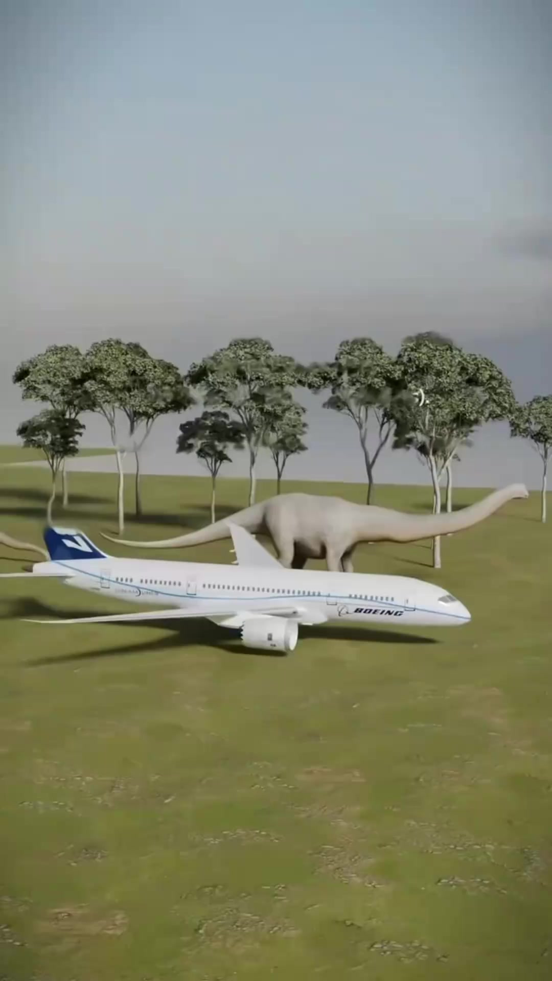 恐龙之间的大小对比