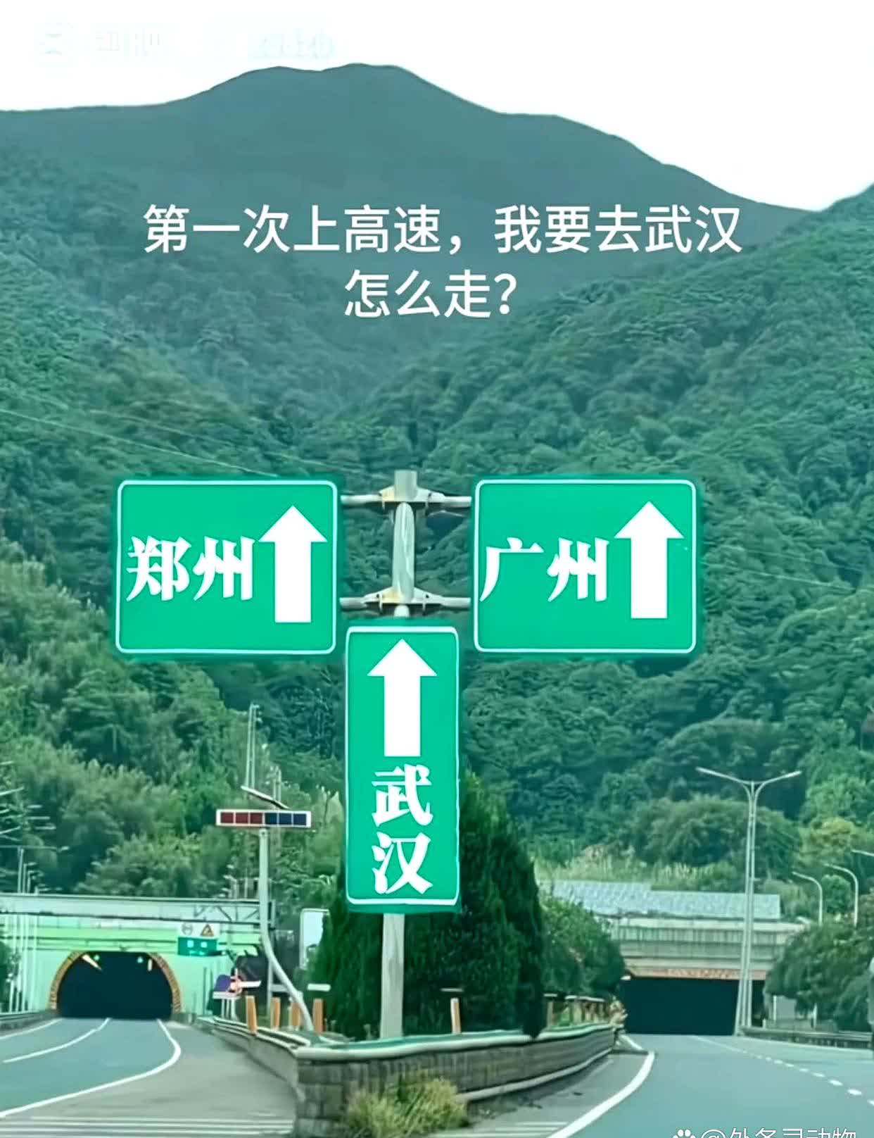 高速路标,三个"直行"指向武汉.我差点开进绿化带