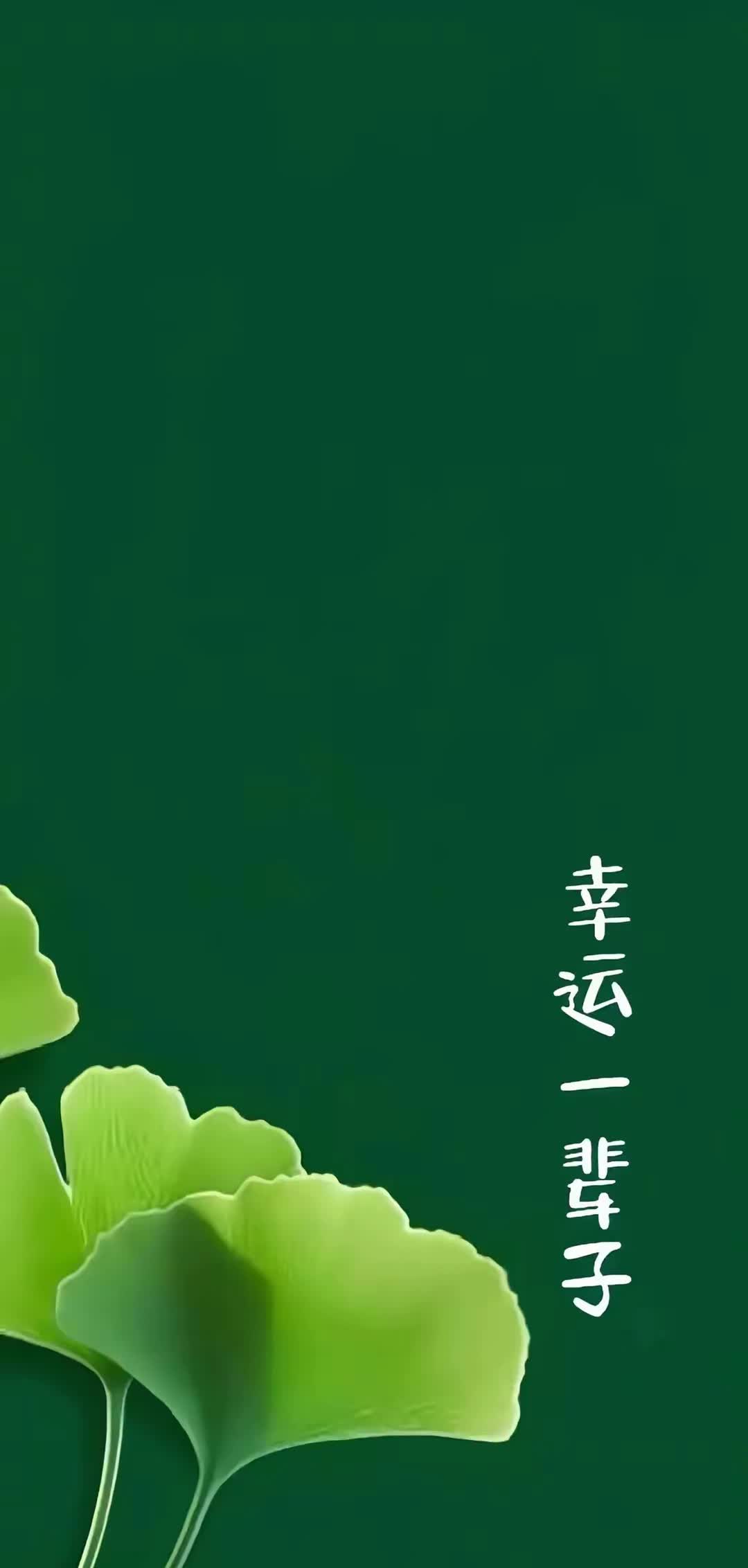 你的手机保护屏该换了