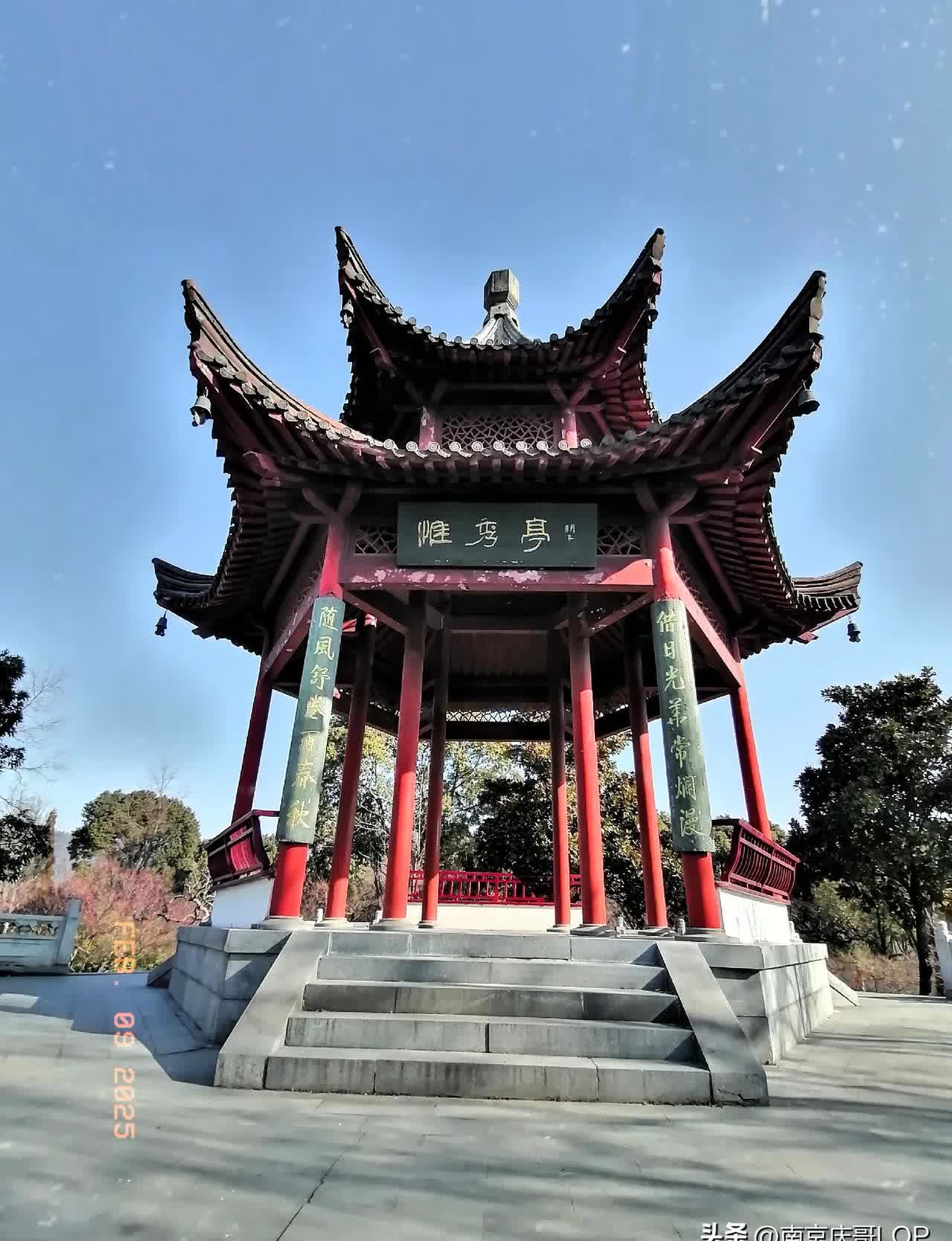 刚刚看携程才发布的《2025年春节旅游总结报告》后得知: