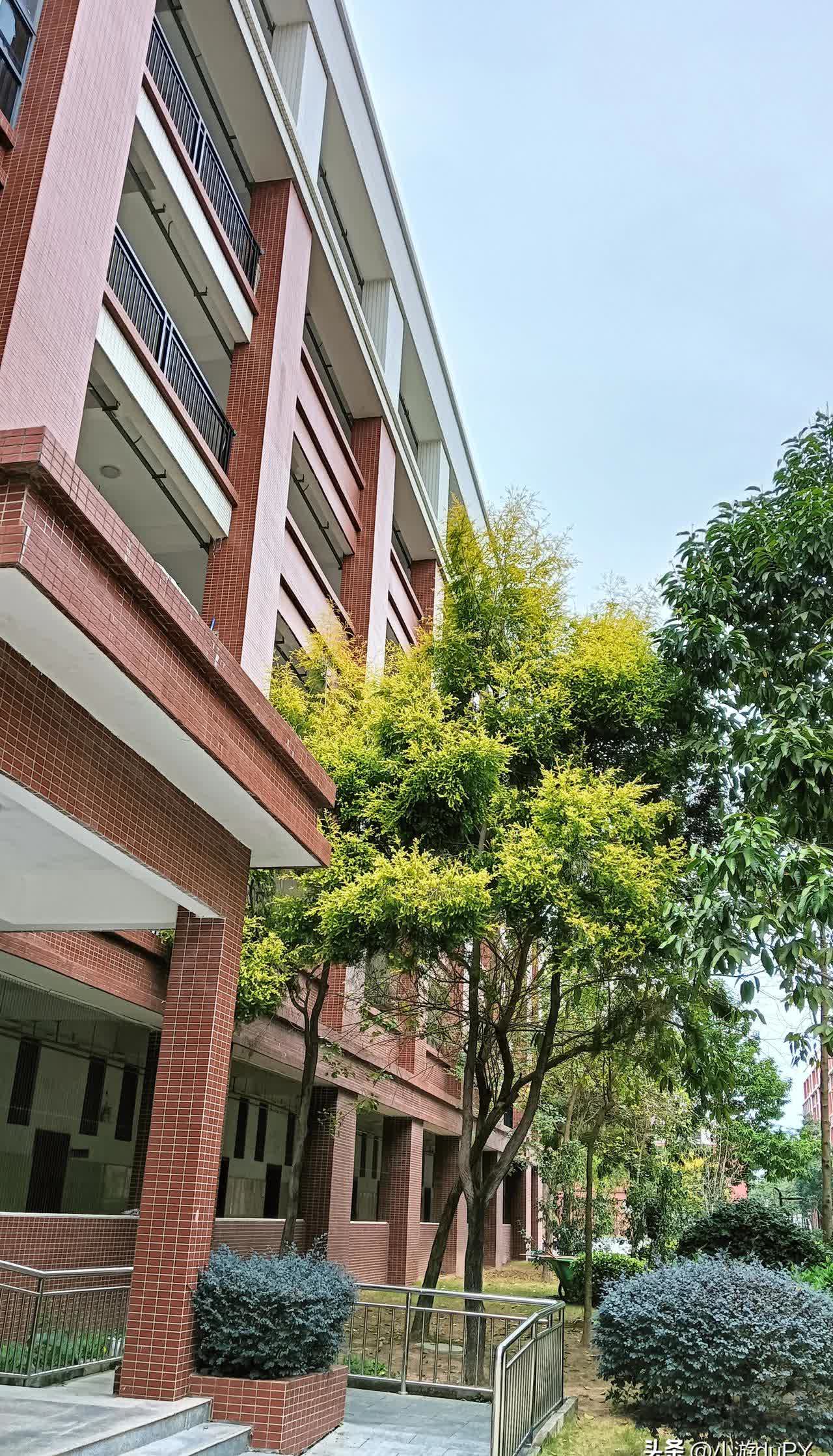 不知大家发现了没有?一个家庭中,孩子有出息,与这些因素有关