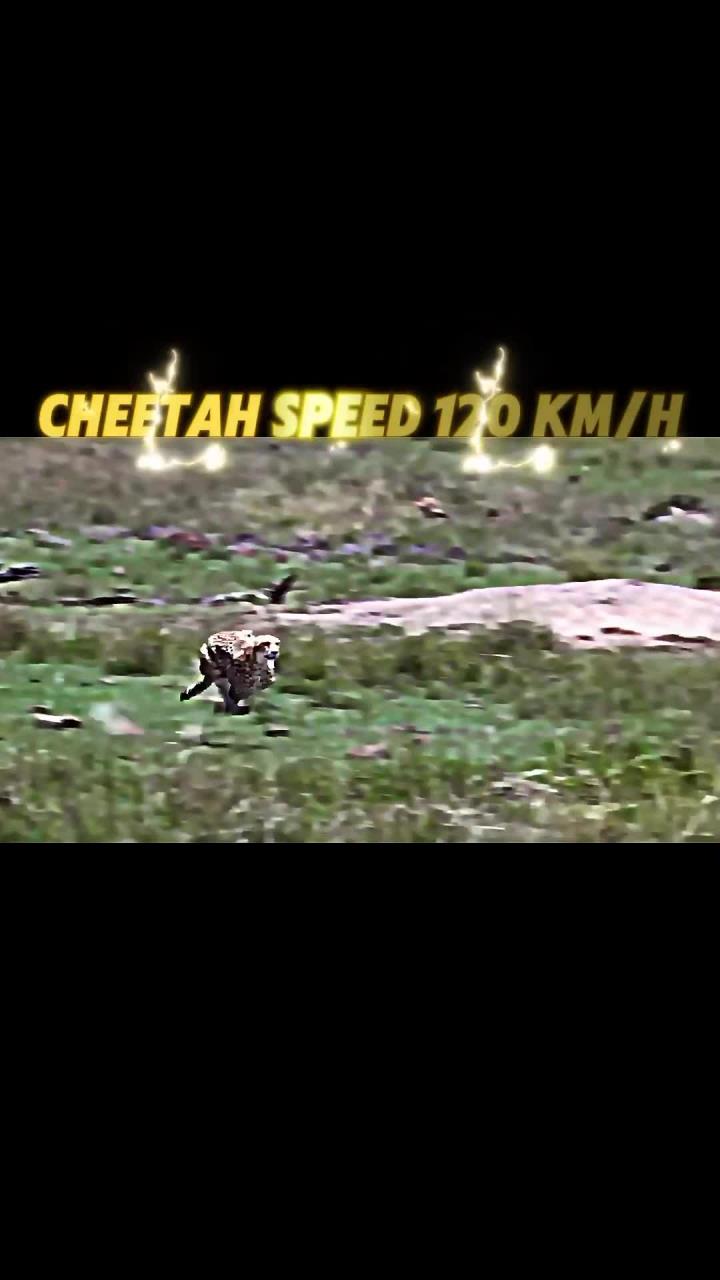 《极速奔跑》的介绍和极速奔跑少年小游戏剧情简介