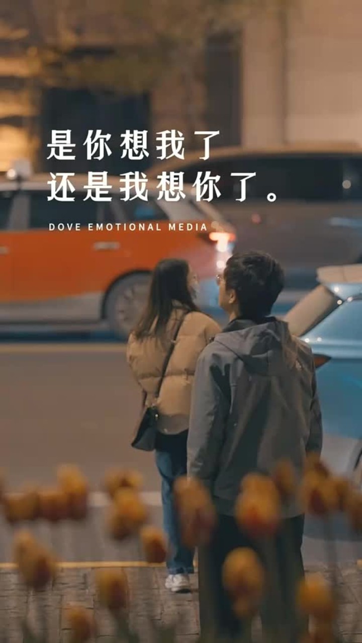 我昨晚梦见你了