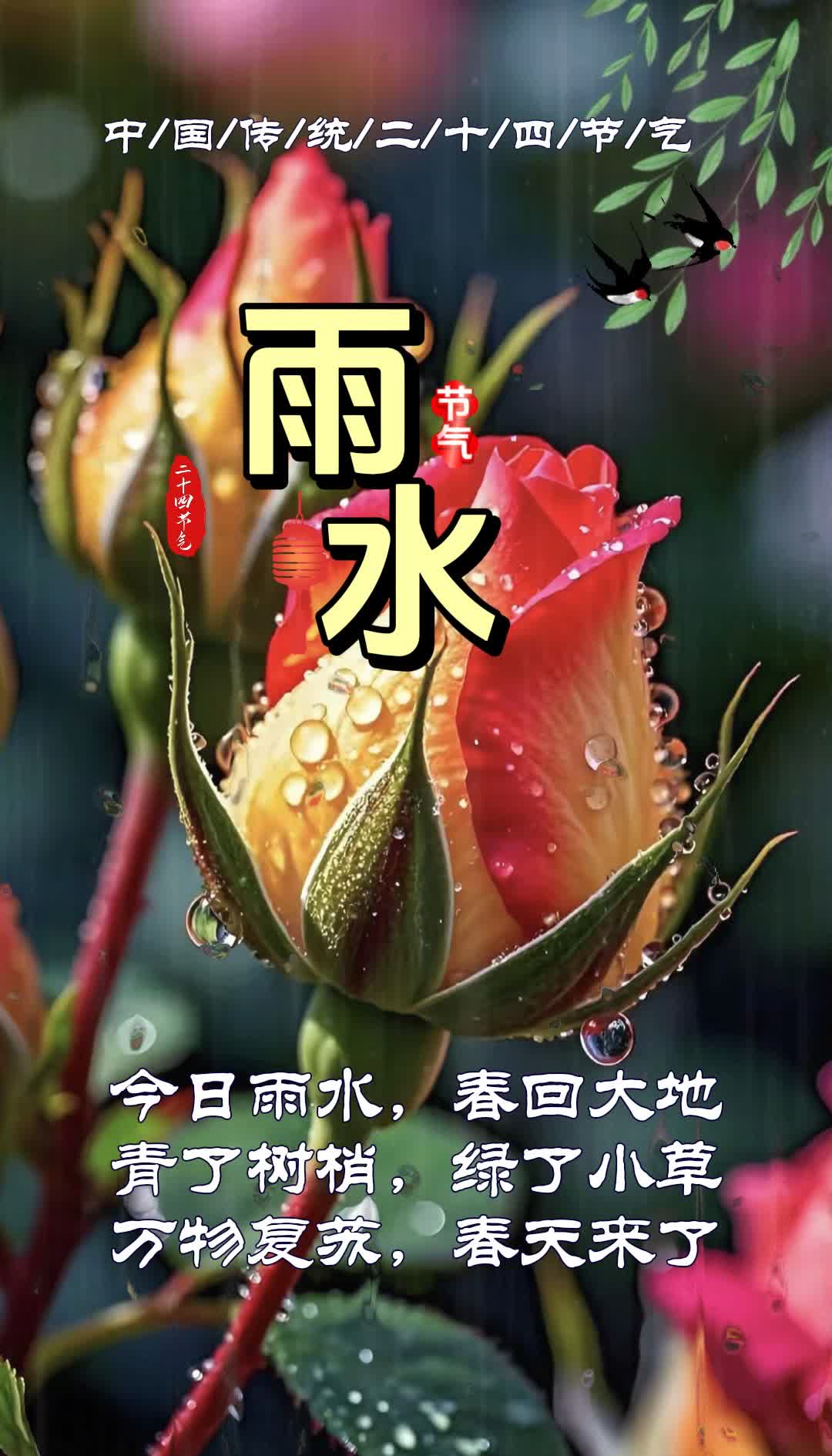 节气雨水生肖运势大全(24节气中雨水的意思)