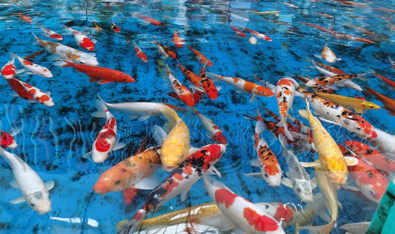 作为在基层干了一辈子的我,对此有着深刻体会