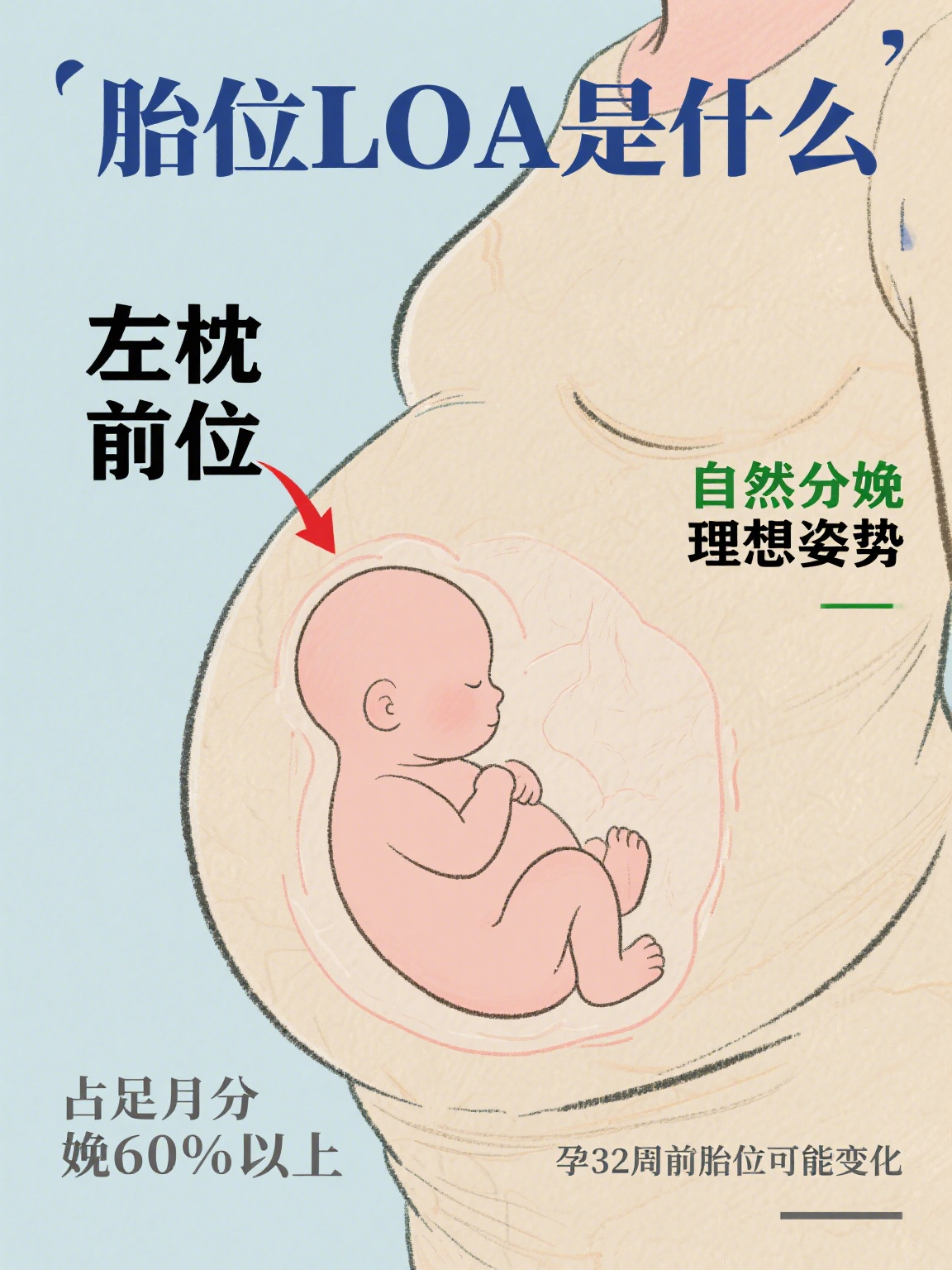在孕期检查中,医生常提到的"胎位loa",是胎儿在
