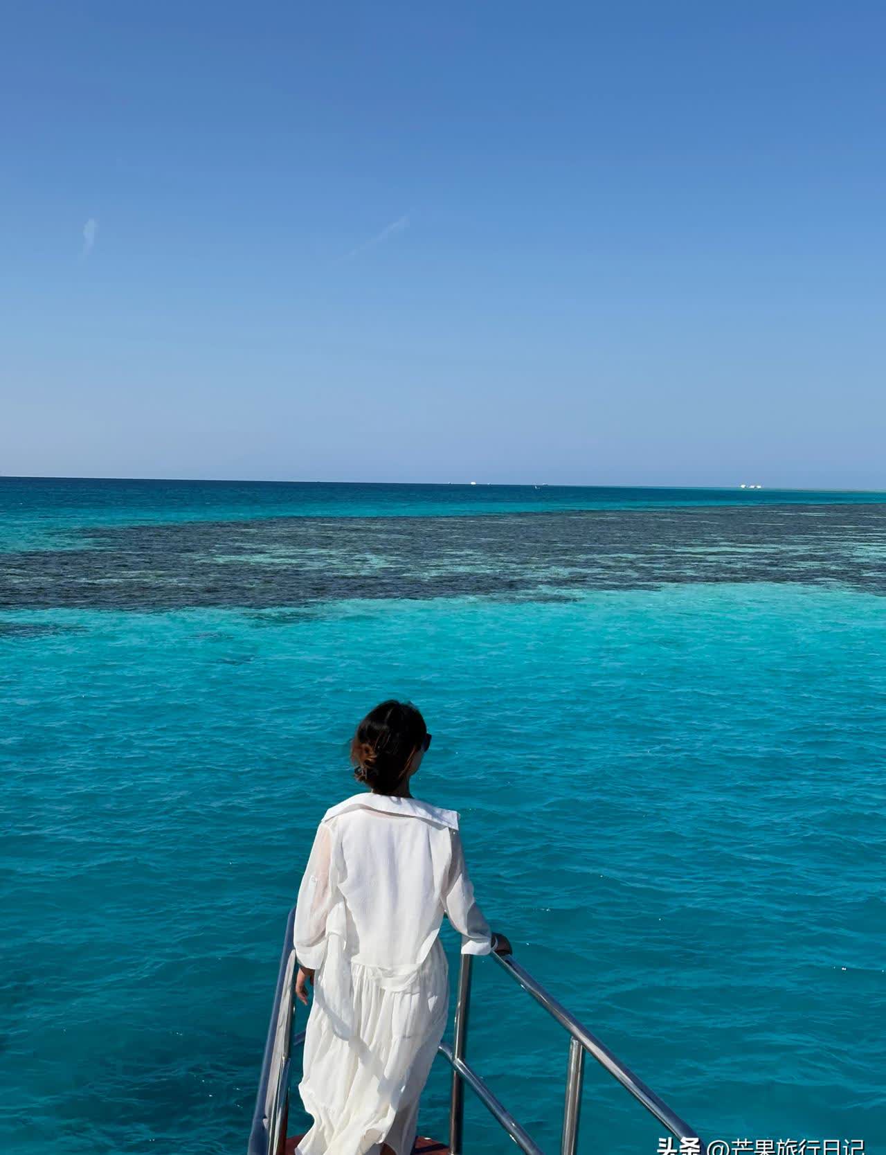 顶级海后